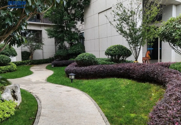 IM体育·(中国区)官方网站 -APP下载