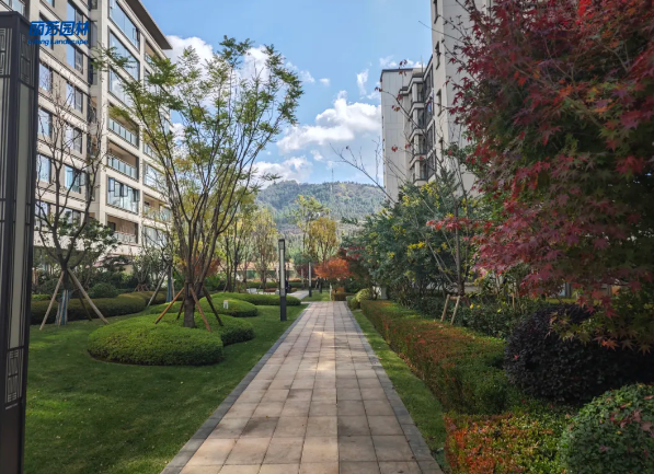 IM体育·(中国区)官方网站 -APP下载