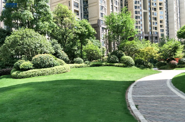 IM体育·(中国区)官方网站 -APP下载