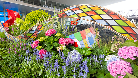 IM体育·(中国区)官方网站 -APP下载