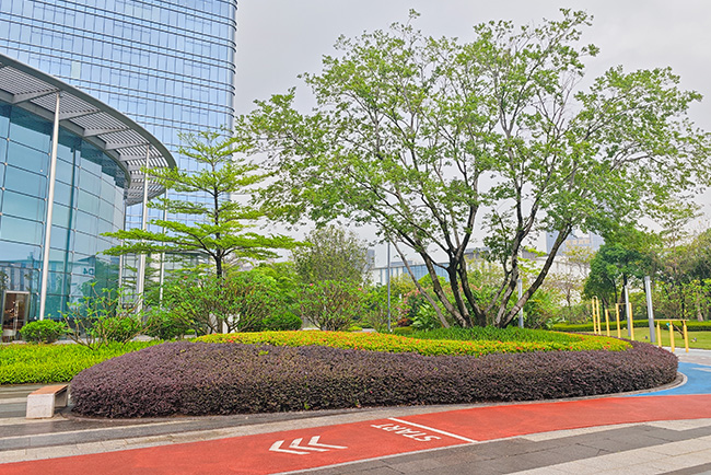 IM体育·(中国区)官方网站 -APP下载