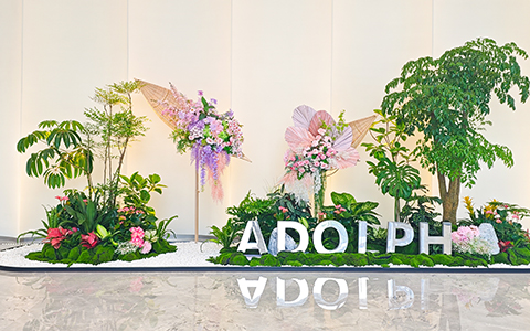 IM体育·(中国区)官方网站 -APP下载