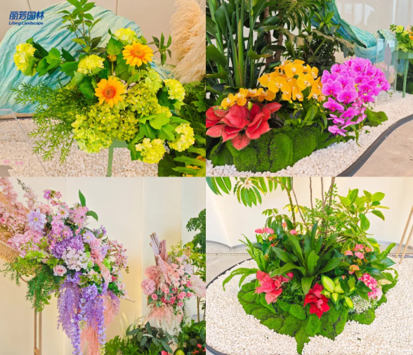 IM体育·(中国区)官方网站 -APP下载