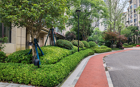 IM体育·(中国区)官方网站 -APP下载