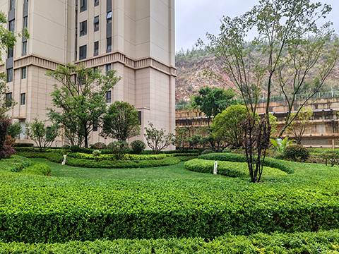 IM体育·(中国区)官方网站 -APP下载