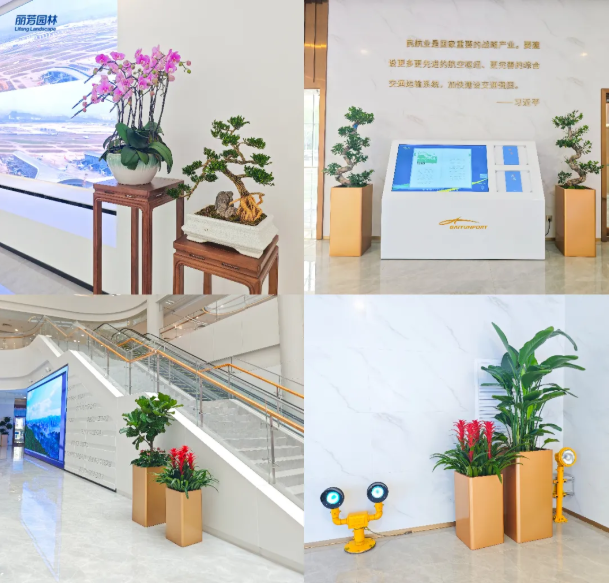 IM体育·(中国区)官方网站 -APP下载