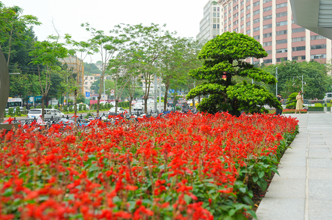 IM体育·(中国区)官方网站 -APP下载