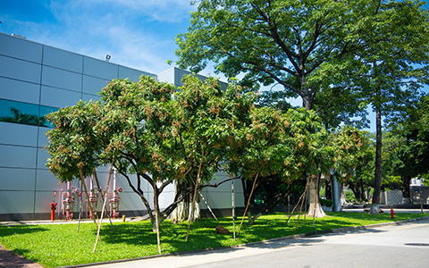 IM体育·(中国区)官方网站 -APP下载