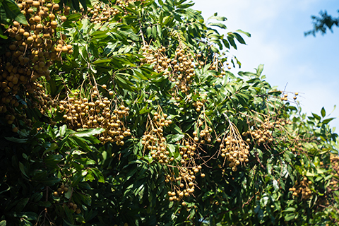 IM体育·(中国区)官方网站 -APP下载