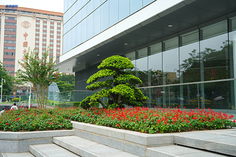 IM体育·(中国区)官方网站 -APP下载