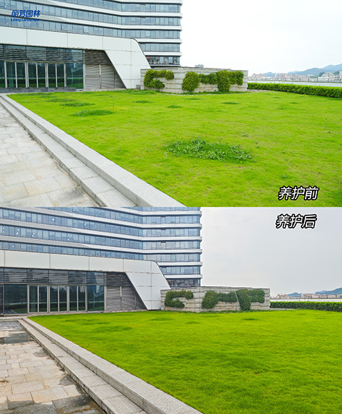 IM体育·(中国区)官方网站 -APP下载