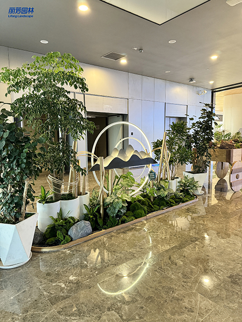 IM体育·(中国区)官方网站 -APP下载