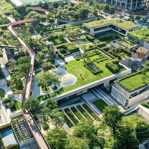 IM体育·(中国区)官方网站 -APP下载