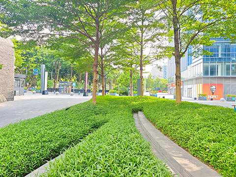 IM体育·(中国区)官方网站 -APP下载