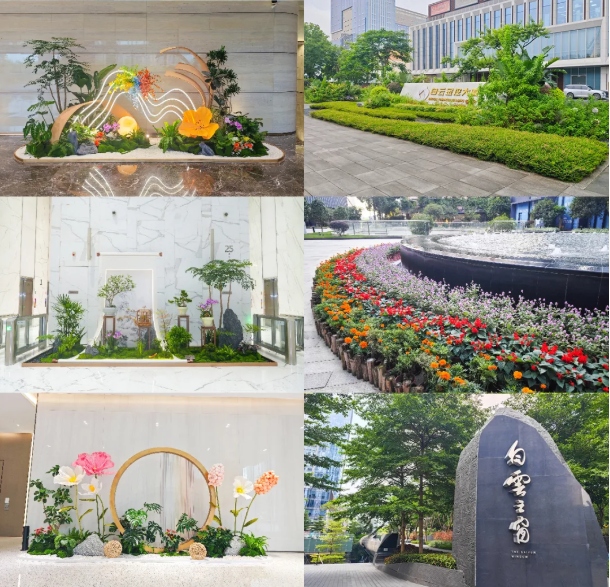 IM体育·(中国区)官方网站 -APP下载