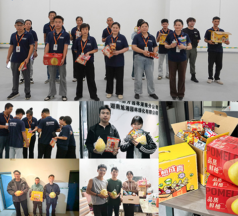 IM体育·(中国区)官方网站 -APP下载