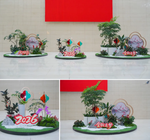 IM������(�й���)�ٷ���վ -APP����