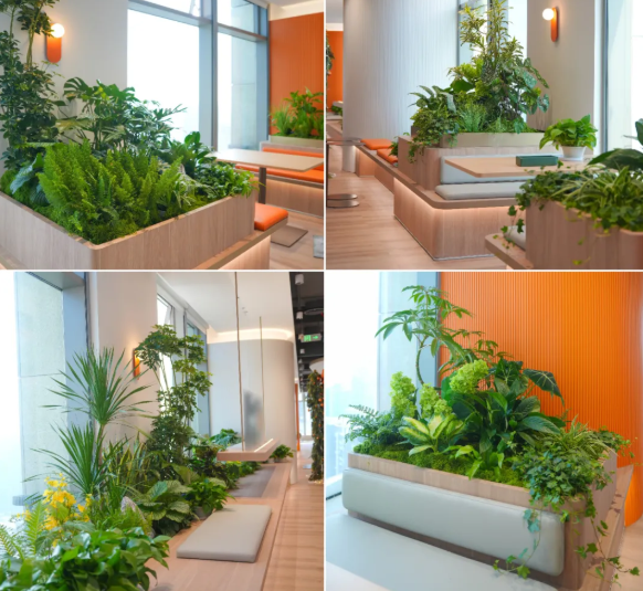 IM������(�й���)�ٷ���վ -APP����