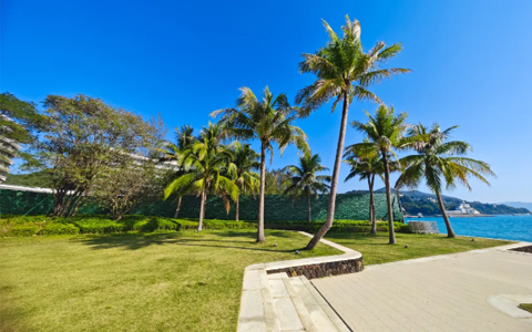 IM体育·(中国区)官方网站 -APP下载