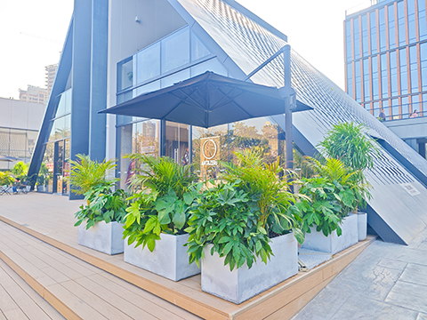 IM体育·(中国区)官方网站 -APP下载