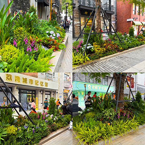 IM体育·(中国区)官方网站 -APP下载