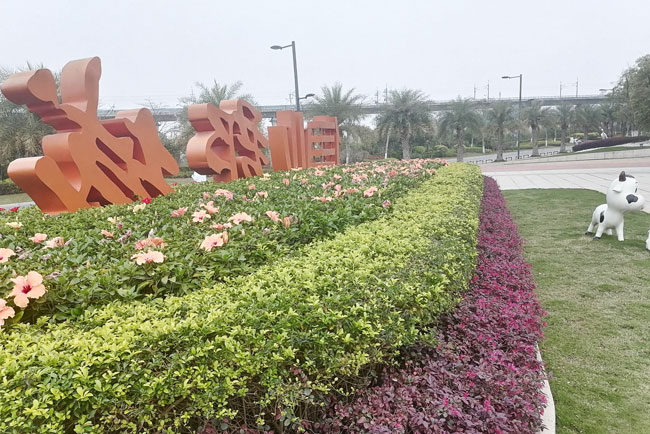 IM体育园林养护项目清远信业郡城