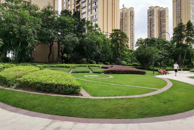 绿化养护项目案例——长隆珑翠花圃