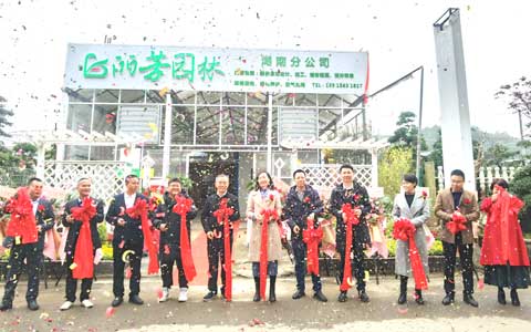 IM����԰�ֺ��Ϸֹ�˾ʢ��ҵ����ս�����г�