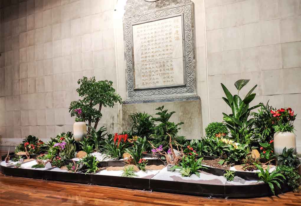 中山留想堂绿植服务项目