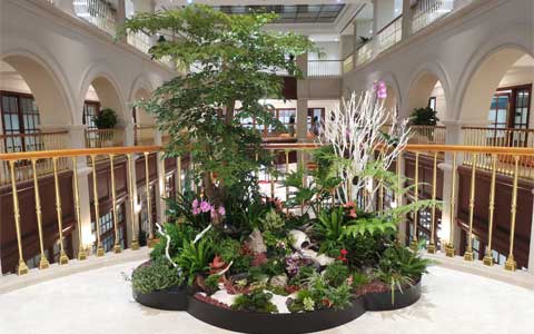 ���ޣ�IM����԰���ٻ�Ϊ��ǰ���عɡ��ո�����ͨ...