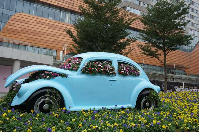 商场室表绿化养护