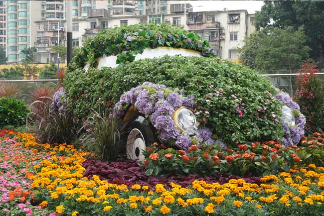 商场室表绿化养护