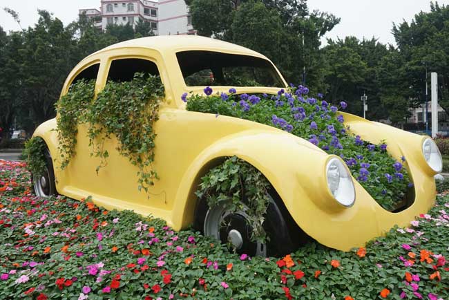 商场室表绿化养护