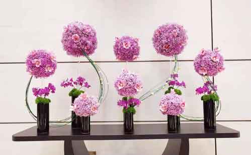 IM������(�й���)�ٷ���վ -APP����