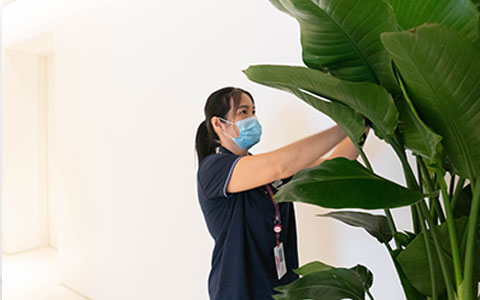 专家推荐：办公室花草安插技巧