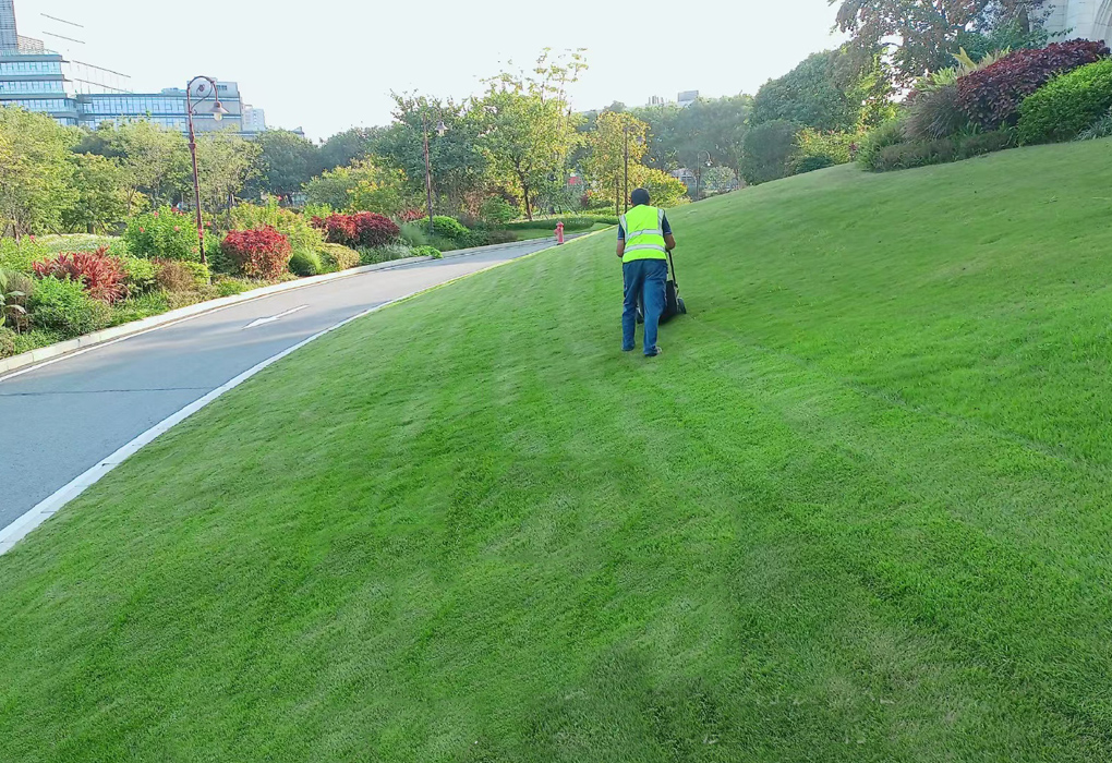 东莞东松山湖园区养护案例