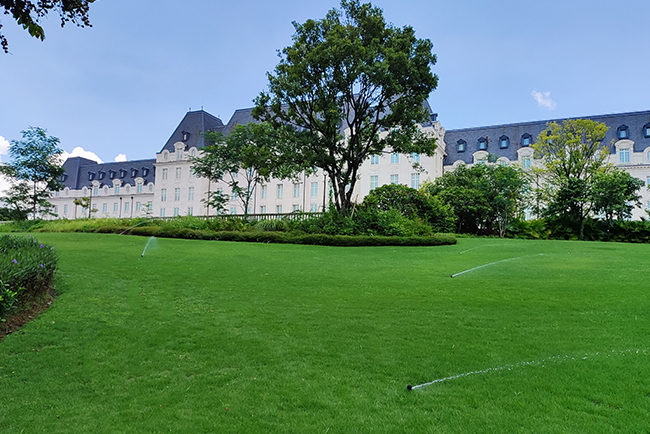 东莞东松山湖园区养护案例