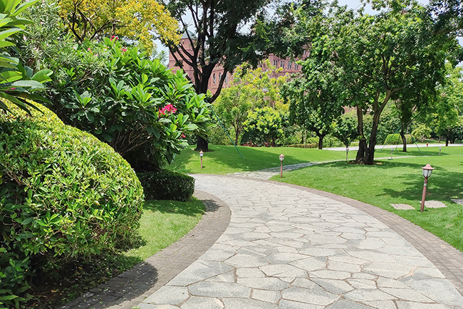 东莞东松山湖园区养护案例