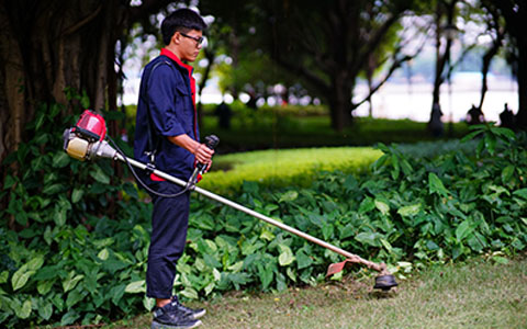 IM体育·(中国区)官方网站 -APP下载