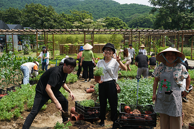 IM体育康养活动