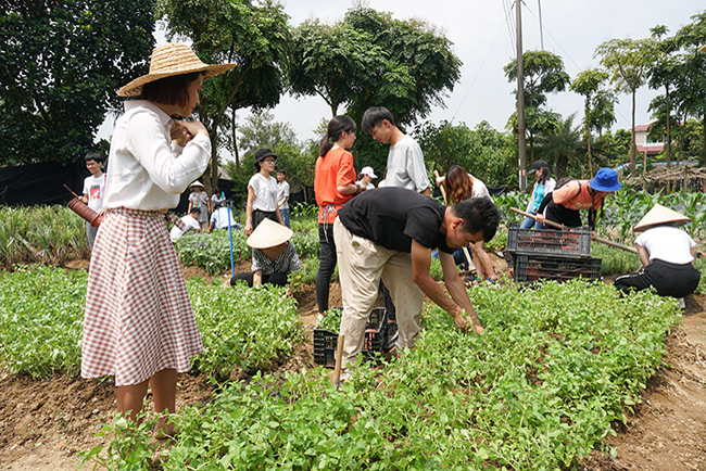 IM体育康养活动