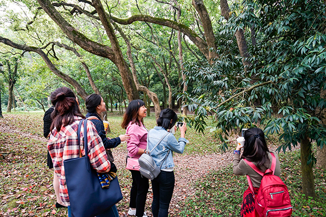 女神节康养活动