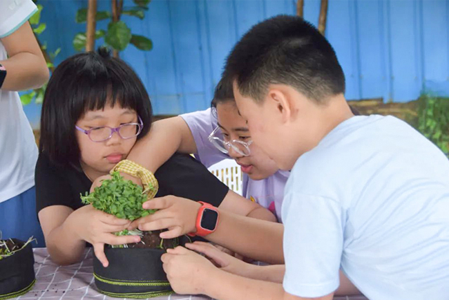 IM体育康养夏令营