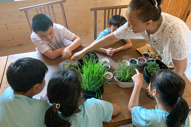 IM体育康养夏令营