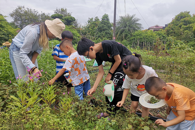 IM体育康养夏令营