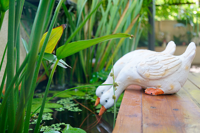 IM体育康养露台花圃设计