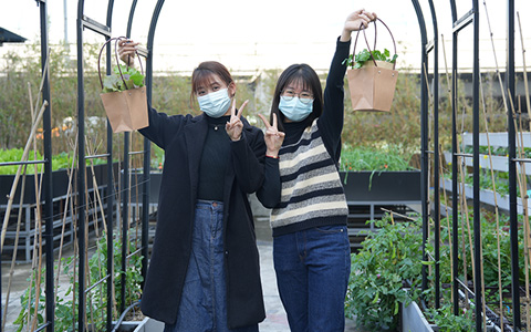 IM����԰�֣��ɸ��˶���Ķ���ũ������