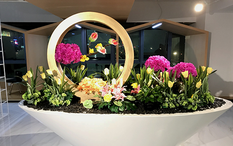 һ���ʺ����ڰ칫�ҵ�ֲ���Ƽ��ֲ�