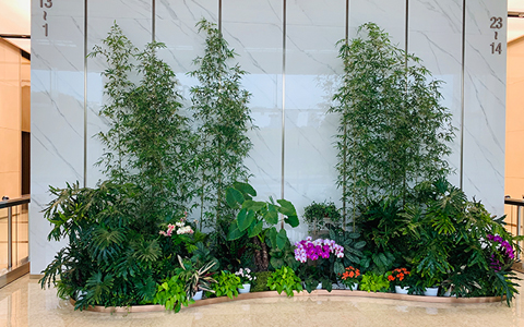 ֲ�����ޡ���Ϊ�������Ŀռ�ע�볯�������