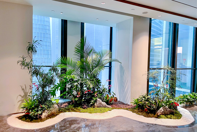 IM体育园林室内绿化美陈列计